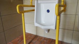 蹲厕卫生间扶手卫生间防滑专用【蓝品盾】800