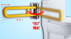 残疾人<normal style=