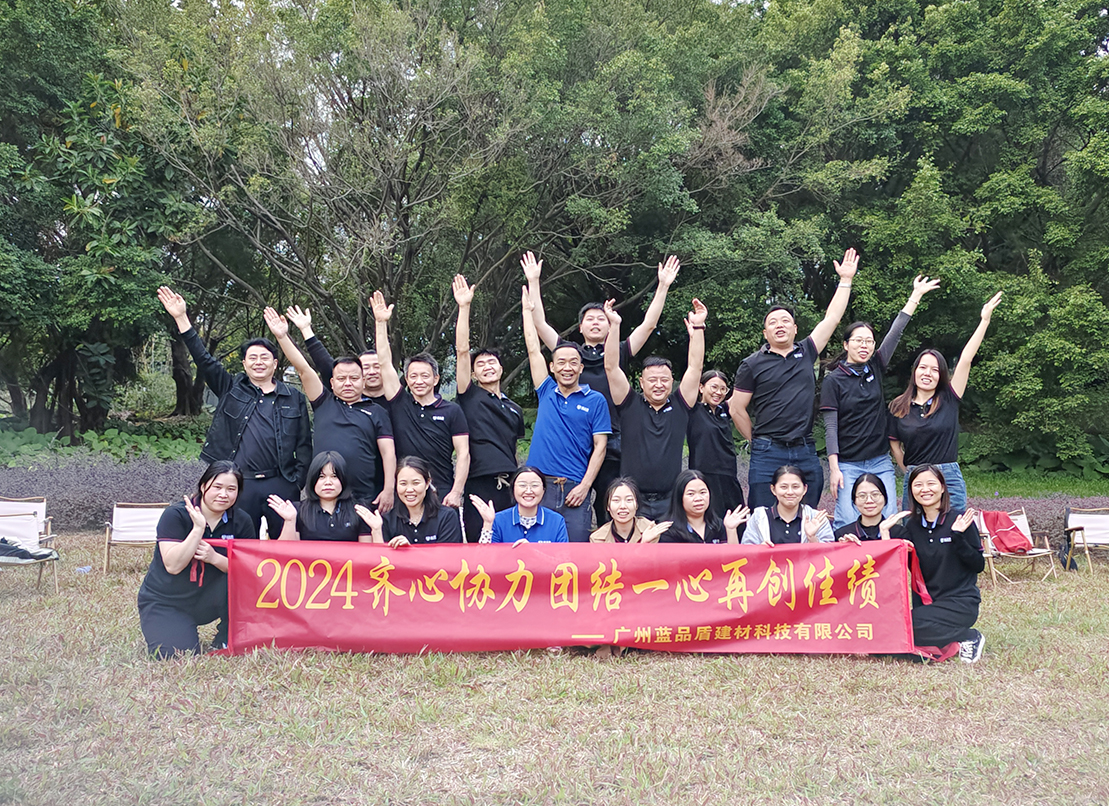新征程，新跨越；总结过去，展望未来！【蓝品盾年终总结】